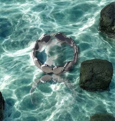 Costal Charm Ring Silver
