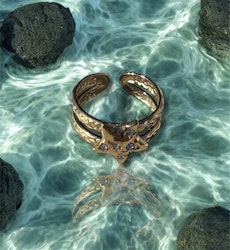 Starring Tresure Ring Guld