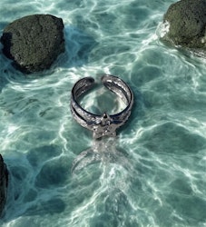 Starring Tresure Ring Silver