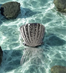 Statement Shell Ring Silver