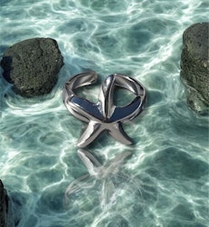 Star Of The Sea Ring Silver