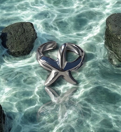 Star Of The Sea Ring Silver