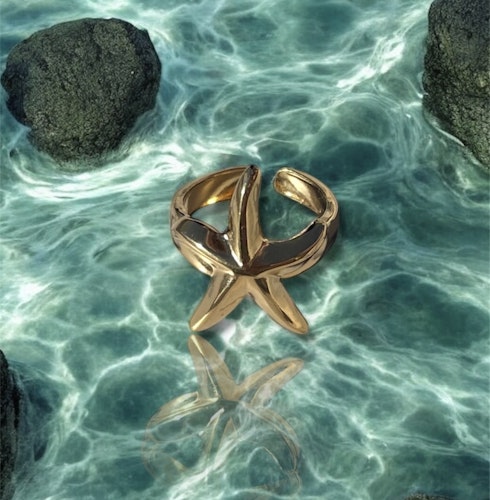Star Of The Sea Ring Guld