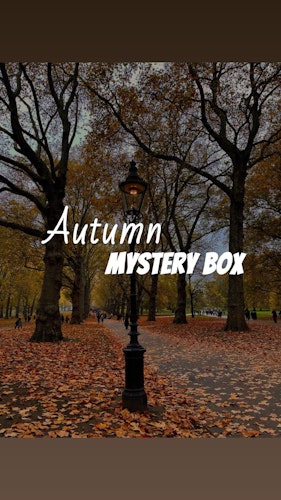 Autumn Mystery Box