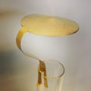 Sotskydd slätt för lampglas i mässing Ø 60 mm