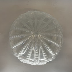 161 mm (165) - Ampelglas frostat mönstrat (äldre)