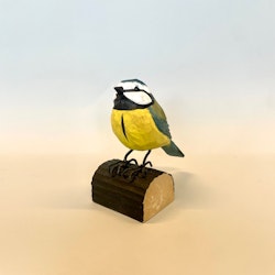 Träfågel: blåmes
