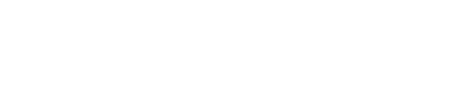 VP Nordic
