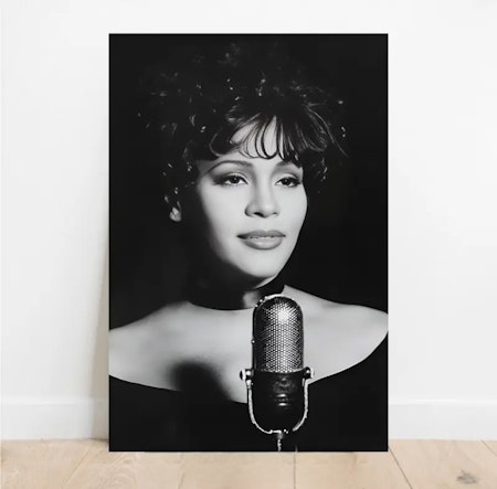 Tavla Whitney Houston