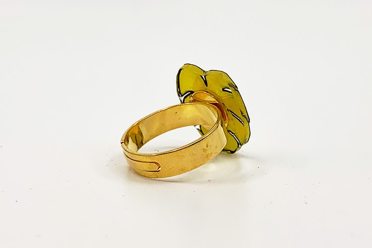 Monstera, ring