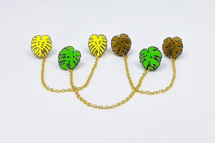Monstera, kragbrosch