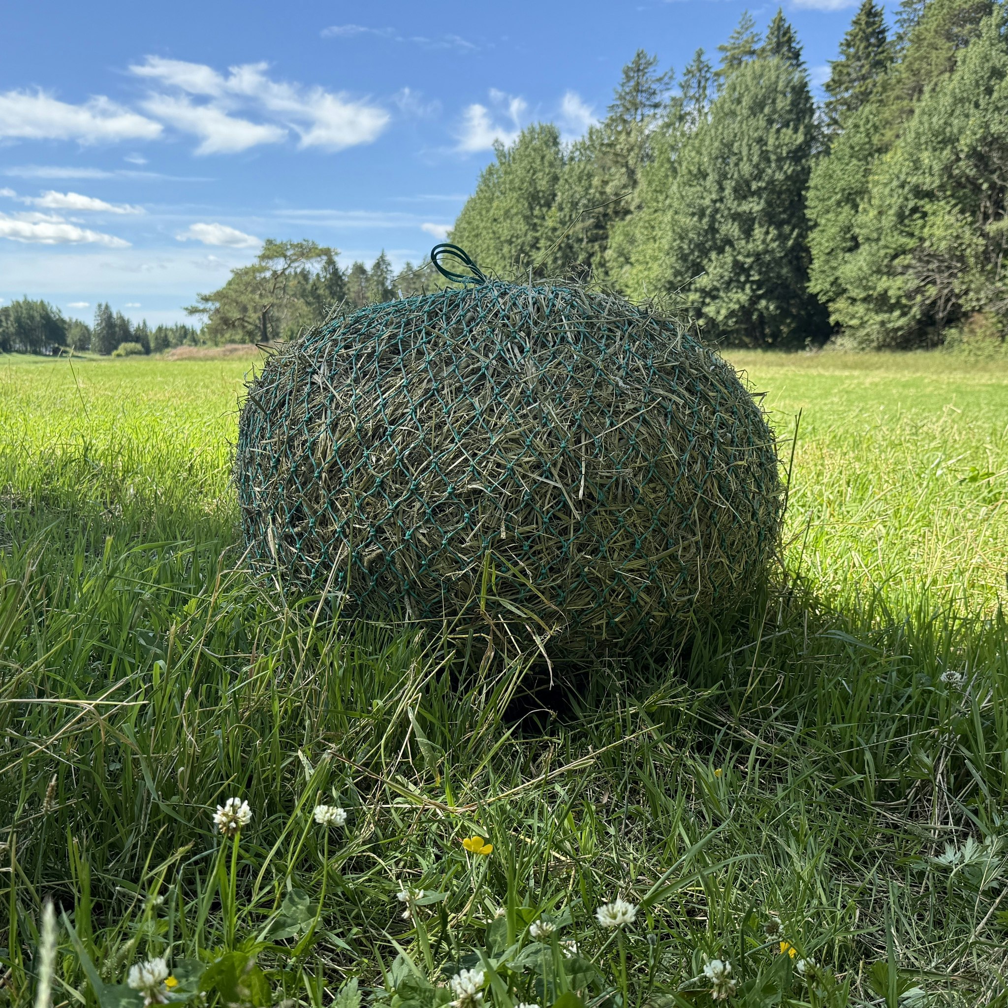 Stort Kulenett medium masker