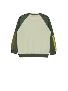 Sweatshirt med tryck (6-9 Years)