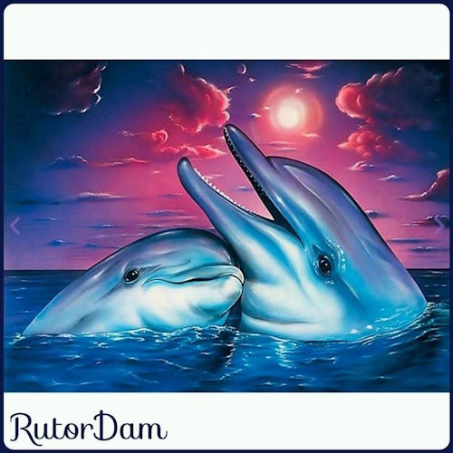 Delfiner 2, 40x30 cm