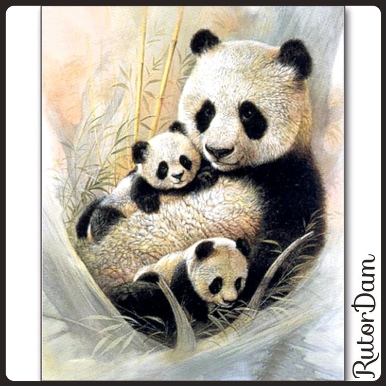 Familjen Panda 1