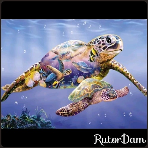Sköldpaddor, 70x50 cm
