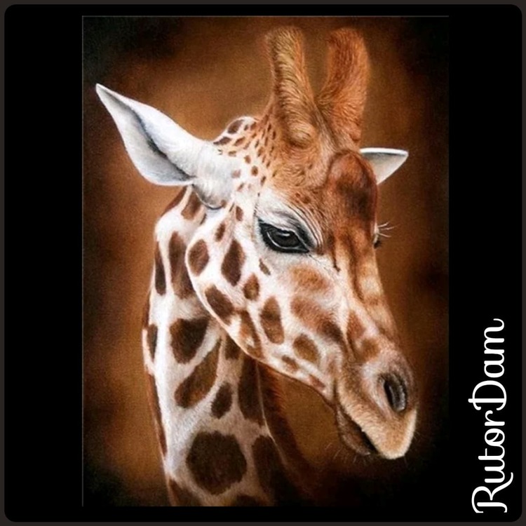 Giraff 3