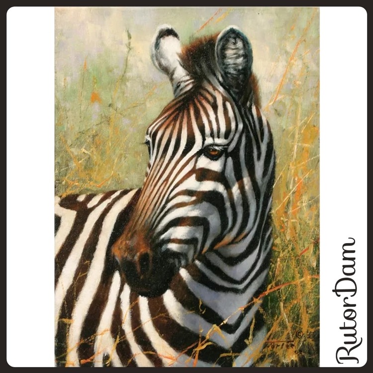 Zebra 2, 40x50 cm