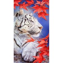 Vit Tiger, 40x70 cm