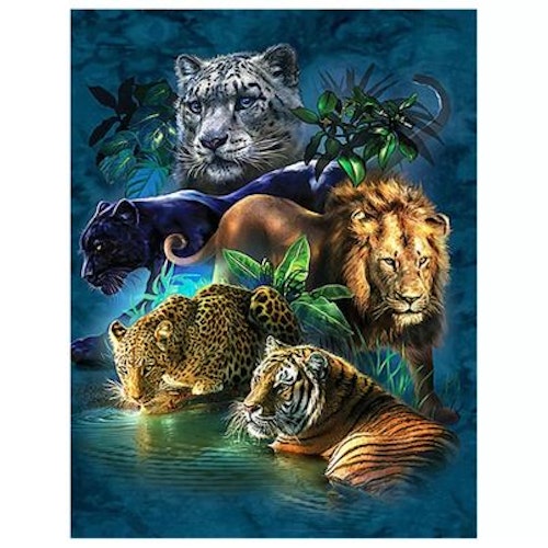 Royal Cats, 50x70 cm