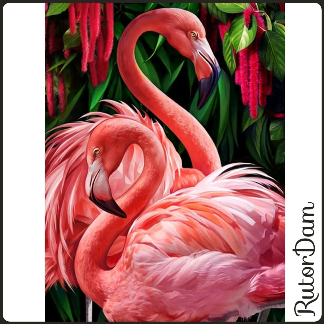 Flamingos, 40x50 cm