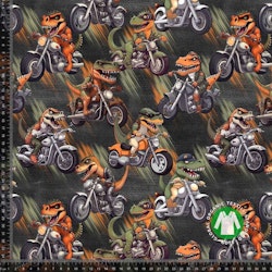 Inspiration Alligatorer på Motorcyklar