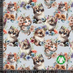Jersey Sweet Cats