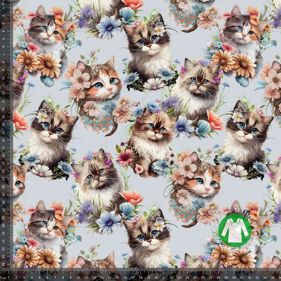 Baby, Sweet Cats