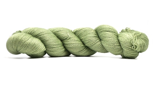Lace Eucalyptus