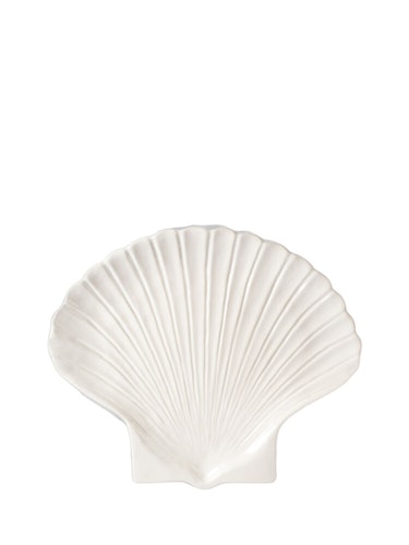 4 st Tallrik Shell XL