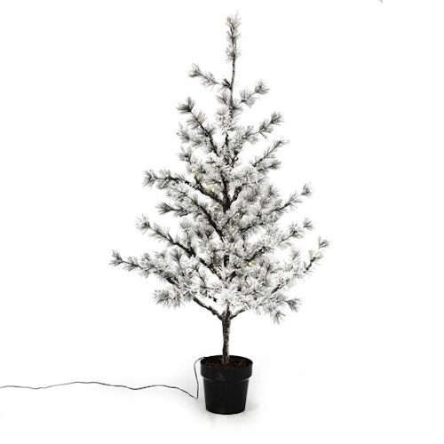 Lärk i kruka 120 cm med snö och ljus, inomhus