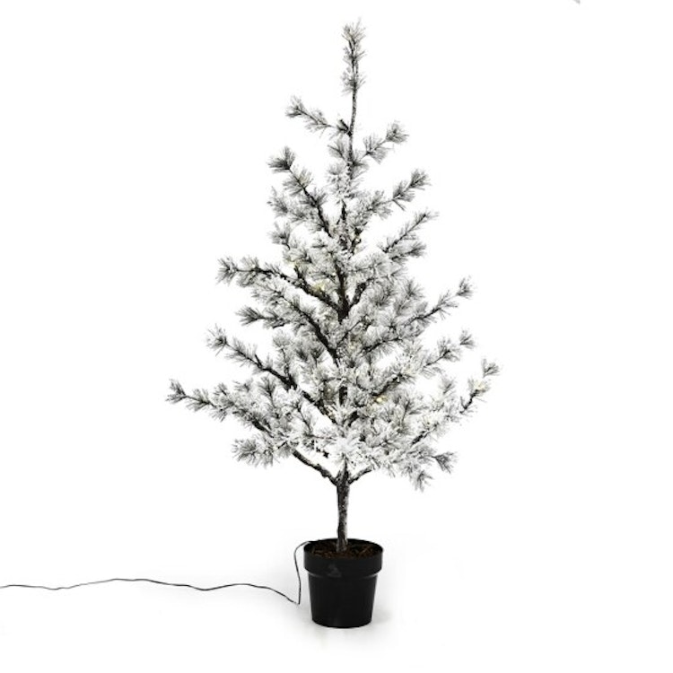 Lärk i kruka 120 cm med snö och ljus, inomhus