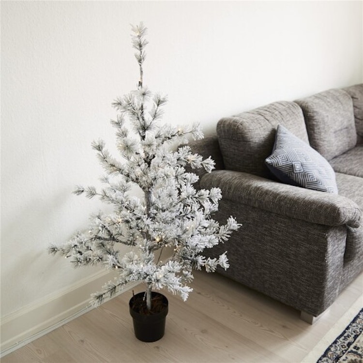 Lärk i kruka 120 cm med snö och ljus, inomhus