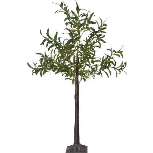 DEKORATIONSTRÄD OLIV 120 cm