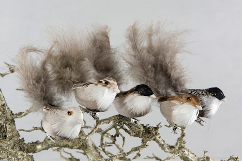 Fågel/Clip Naturmix 13cm. 5/set