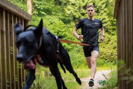 Non-Stop Bungee leash