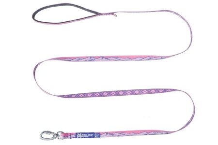 Non-stop Trail quest leash Rachel Pohl edition
