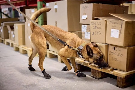 Non-stop Solid leash WD