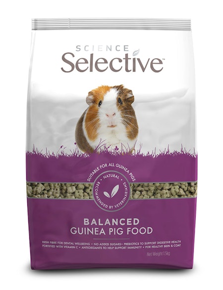 Selective Guinea Pig