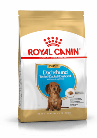 Royal canin Dachshund Puppy