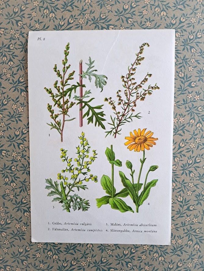 Vintage florablad
