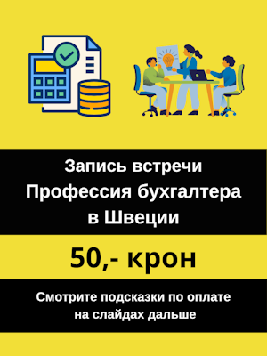 Запись встречи Профессия бухгалтера в Швеции.