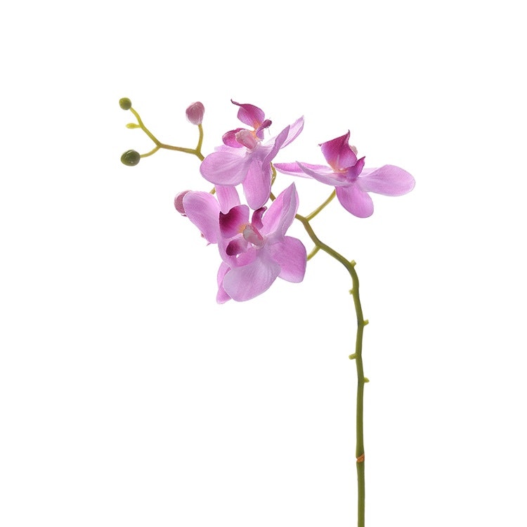 Phalaenopsis 28cm Rosa