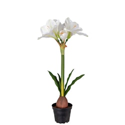 Konstgjord Amaryllis 50 cm Vit