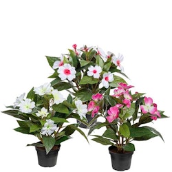 Lyckliga Lotta Vit/Rosa 30cm