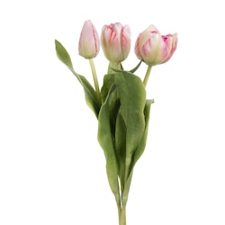 Konstgjord Tulpan 3-pack Rosa grön