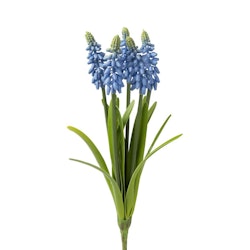 Konstgjord Pärlhyacint Blå 30cm