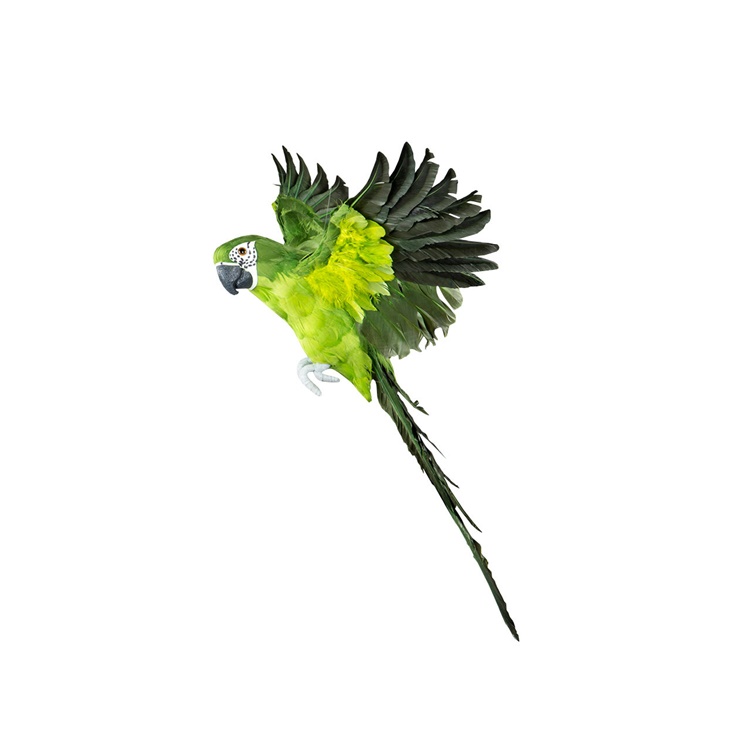 Papegoja Flygande Grön