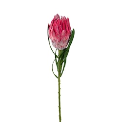 Konstgjord Protea Rosa