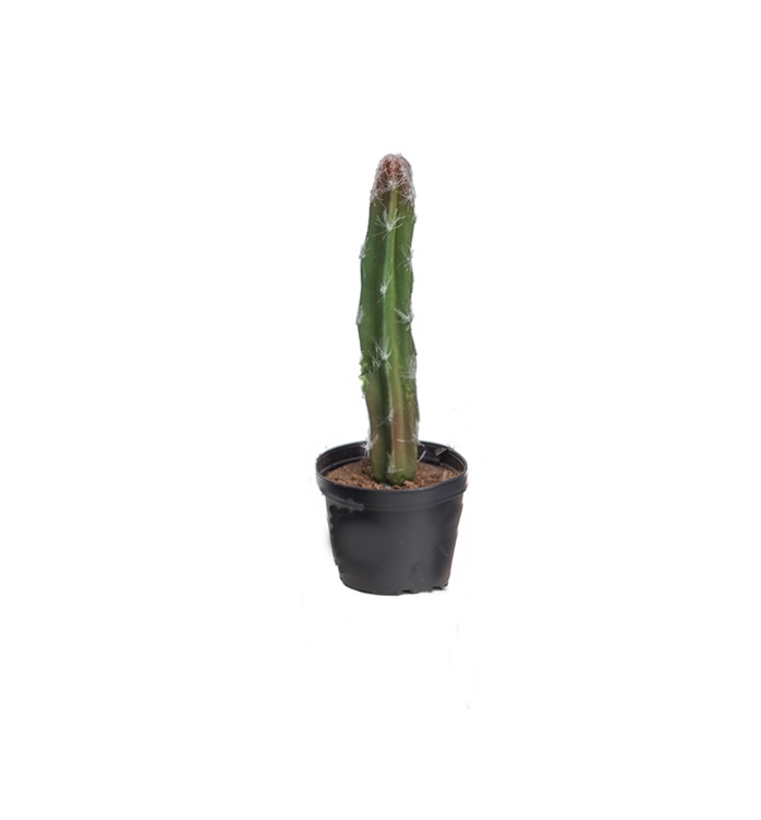 Konstgjord Kaktus 22cm